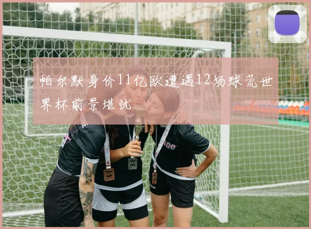 帕尔默身价11亿欧遭遇12场球荒世界杯前景堪忧