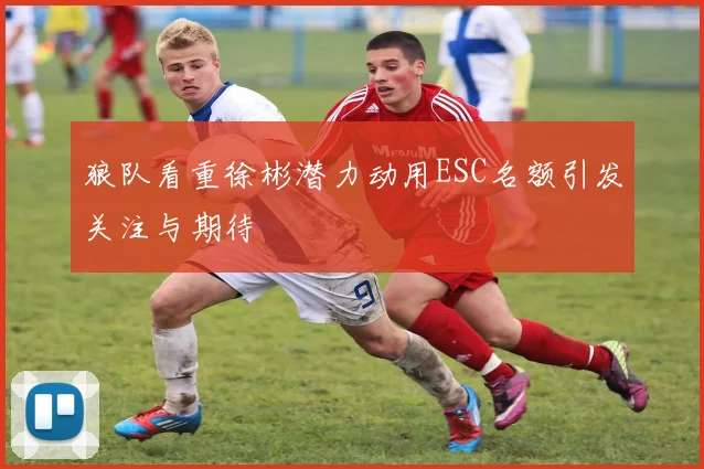 狼队看重徐彬潜力动用ESC名额引发关注与期待