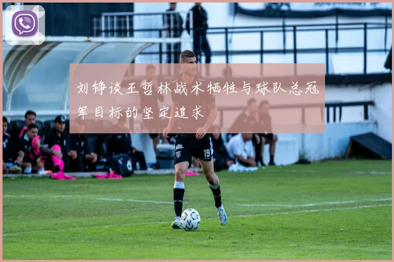 刘铮谈王哲林战术牺牲与球队总冠军目标的坚定追求